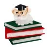 The Valedictorian Mouse Brooch -Erstwilder 1b995025 cc4a 487a bd33 b4be06b38aa4