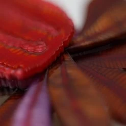 Flora Antipodea Necklace -Erstwilder erstwilder x jocelyn proust bushy blush close up red 5d0821bc 2781 43cc bdac 660a6a52772c