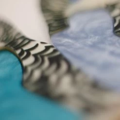 Pair O' Keets Necklace 8 Pair O' Keets Necklace -Erstwilder erstwilder x jocelyn proust pair o keets close up blue db3b664a 928a 4d84 867b 8c49b5c6d62a