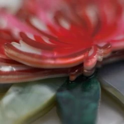 Waratah Warmth Brooch -Erstwilder erstwilder x jocelyn proust waratah warmth close up green