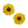 Follow The Sun Hair Clips Set - 2 Piece -Erstwilder ha 0014ah2hr03followthesunbroochhairclips 1