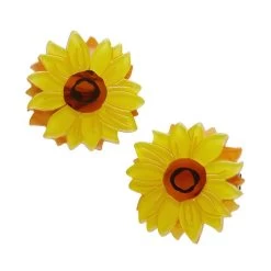 Follow The Sun Hair Clips Set - 2 Piece