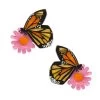 A Butterfly Named Flutter Hair Clips Set - 2 Piece -Erstwilder hrbm102abutterflynamedflutterhairclipsset 2piece 1
