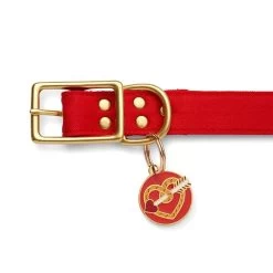 A Shot Through The Heart Enamel Pet Charm -Erstwilder pe5a43 1