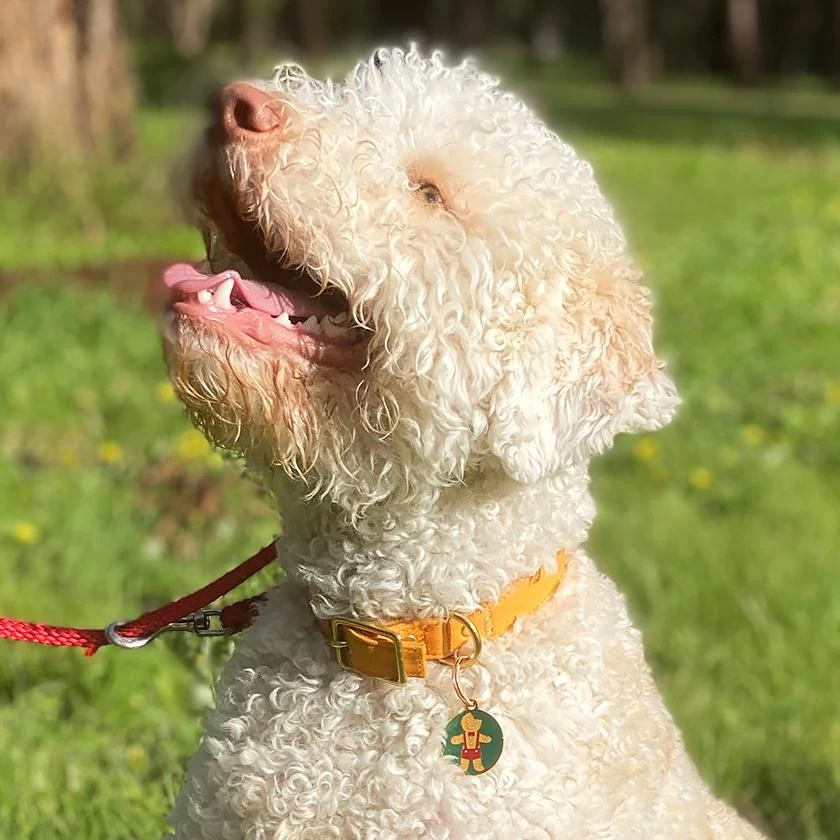 The Bite Before Christmas Enamel Pet Charm 4 The Bite Before Christmas Enamel Pet Charm - Image 2