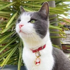 Wrapped Up In Love Enamel Pet Charm -Erstwilder pet0003 2000 wrapped up in love enamel pet charm model