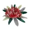 Waratah Warmth Brooch -Erstwilder warratah warmth brooch